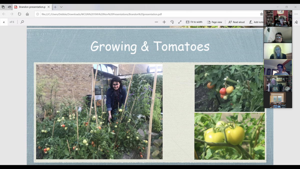 WCGN Brandon talk (tomatoes) 19 Nov 2020 at 19.09.41